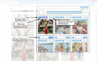 Image Downloader Continued screenshot 1