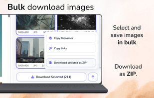 Select multiple images and download them together in bulk or as a ZIP archive.