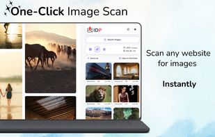 Scan any webpage with one click and instantly preview all detected images before downloading.