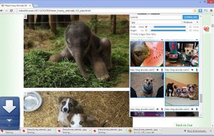 Image Downloader screenshot 1