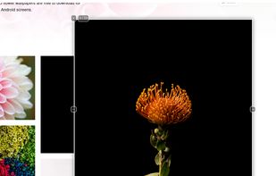 Image Max URL screenshot 1