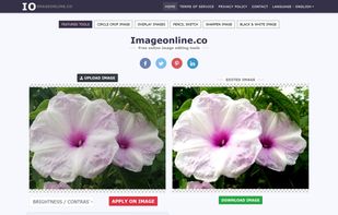 Image Online Editor screenshot 1