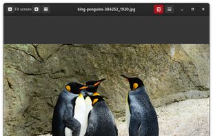 Image Roll screenshot 1