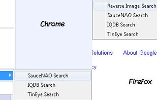 Image Search Options screenshot 3
