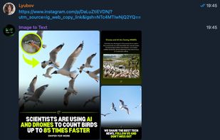 Instagram Carousel Links | 
Paste a carousel link instead of downloading every image manually
