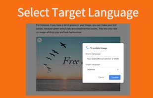 Translate Image screenshot 2