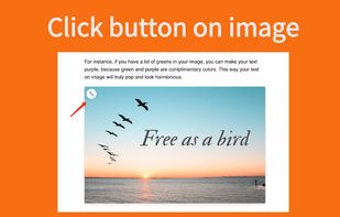 Translate Image screenshot 1