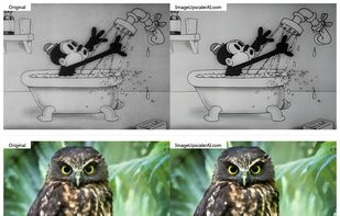 Image Upscaler AI screenshot 1