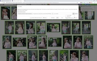 ImageAssistant Batch Image Downloader screenshot 3