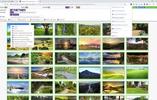 ImageAssistant Batch Image Downloader screenshot 2