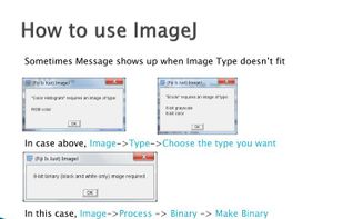 ImageJ screenshot 1