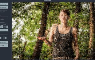 ImageMosaicWall screenshot 1