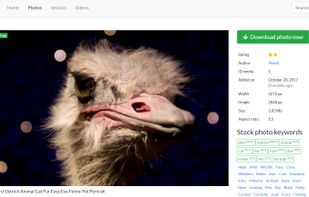 Imageric.com screenshot 1