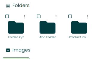 Image grid view with folders