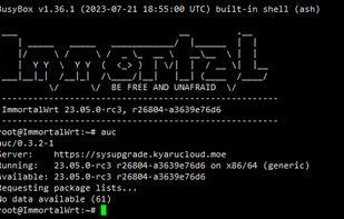 Command Line Interface (CLI)