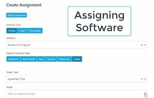 Immy.Bot screenshot 1