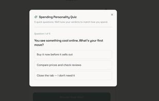 Impulse Spend Blocker screenshot 3