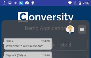 In-App Live Chat SDK Demo screenshot 1