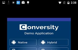 In-App Live Chat SDK Demo screenshot 3