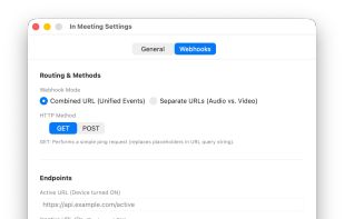 In Meeting screenshot 1