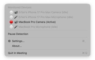 In Meeting screenshot 2