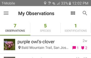 iNaturalist screenshot 2