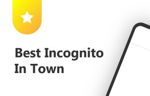 Incognito Browser screenshot 2