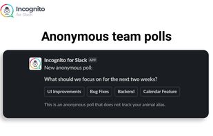 Incognito for Slack screenshot 1
