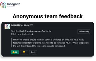 Incognito for Slack screenshot 1