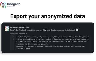 Incognito for Slack screenshot 3