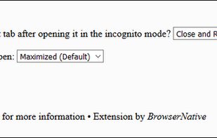 Incognito This Tab screenshot 2