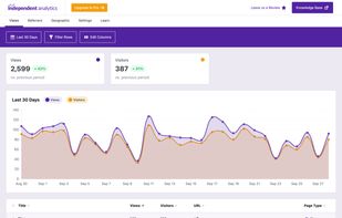 The Independent Analytics dashboard.