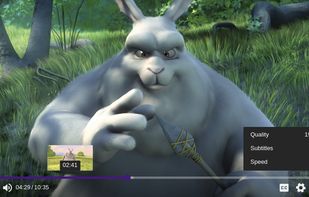 Indigo Player screenshot 1