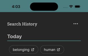 InfiniDict screenshot 2