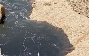 Infinigen screenshot 1