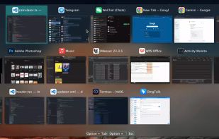 InfyniDock screenshot 1