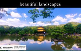 Inner Peace Extension screenshot 1