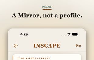 A Mirror, not a profile.