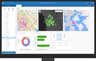 Insights for ArcGIS screenshot 1