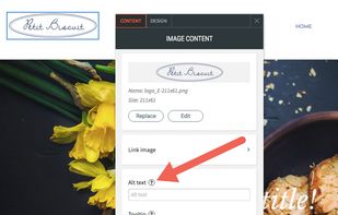 Duda Website Builder screenshot 3