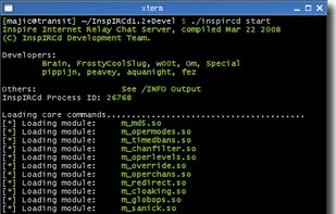 InspIRCd screenshot 1