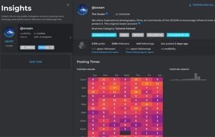 Instagram Insights & Analytics