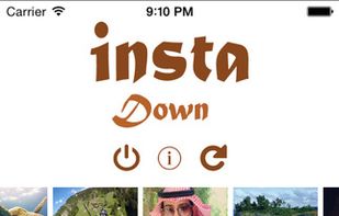 instadown screenshot 1
