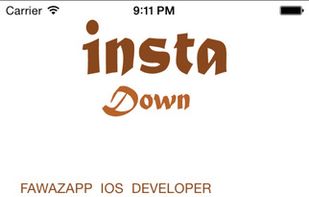 instadown screenshot 1