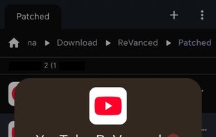 InstallerX Revived screenshot 1
