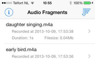 Instant Audio Recorder screenshot 3