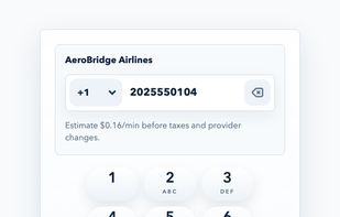 Instant Web Call screenshot 3
