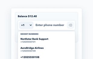 Instant Web Call screenshot 2