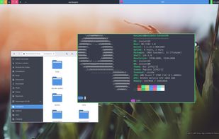 instantOS screenshot 1