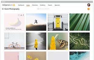 IntelligenceBank screenshot 1